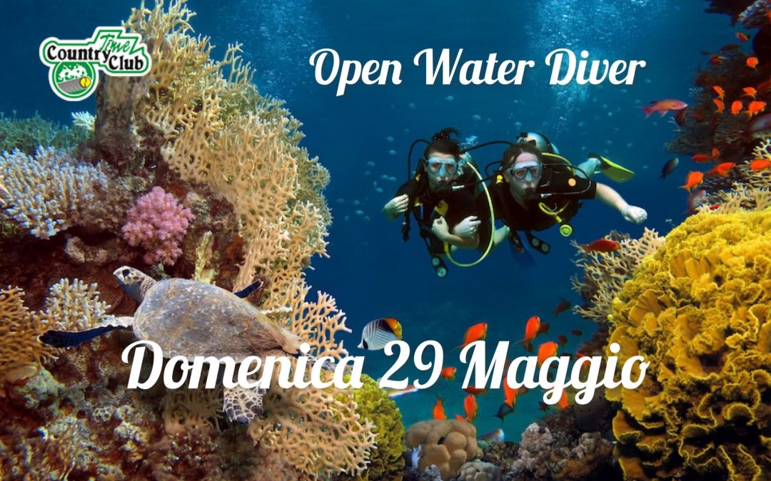 Open Water Diver